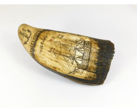 SCRIMSHAW. A large scrimshaw sperm whale tooth, engraved with a representation of Nelson's Victory under full sail. Above thi