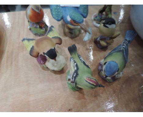 Six Royal Worcester studies, Kingfisher 3225, Gold Crest 3338, Blue Tit 3199, Robin 3197 (AF), Goldfinch 3875, Marsh Tit 3336