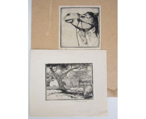 (19th Century) Two drypoint engravings depicting Middle Eastern views, including one profile portrait of a camel, each pencil