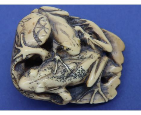 Ivory carved netsuke in the form of two frogs over a beetle, L: 46 mm, unsigned. Good overall condition aside form black biro