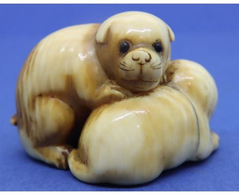 Ivory carved netsuke in the form of a pair of dogs with stone set eyes, H: 28 mm, signed to base. P&amp;P Group 1 (£14+VAT fo