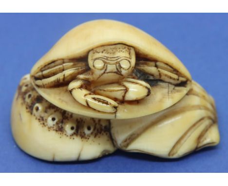 Ivory carved netsuke in the form of a crab in a shell. H: 32 mm. Initialled to base. P&amp;P Group 1 (£14+VAT for the first l