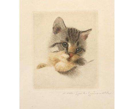20th Century School 'Untitled grey Kitten', etching and aquatint, signed in pencil lower right, 9cm x 7.5cm  Generally in goo