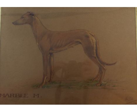 MGM, a study of a greyhound, Marble M, mixed media, initialled in pencil and dated 35, 24 x 34 cm Condition report Report by 