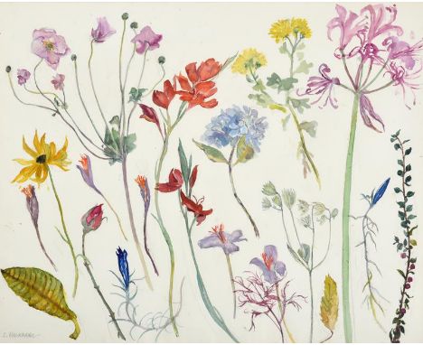 Dame Elizabeth Violet Blackadder DBE, RA, RSA (1931-2021) Flower Studies Signed, pencil and watercolour, 48cm by 58cm This wa