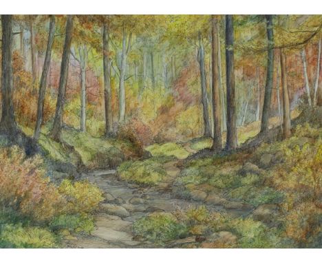 ARTHUR BYRNE "Stanley Burn", watercolour, pen and pencil, sketch of a stream running through woodland, unframed, signed lower