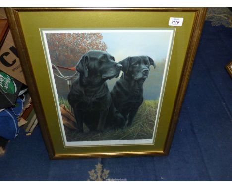 A framed limited edition Print depicting two black Labradors sat by a shooting stick, no. 43/495, signed by Nigel Hemming, 21