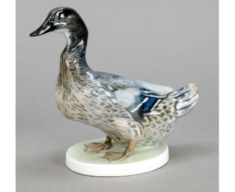 Ente, Rosenthal, Selb, 1920er Jahre, Entwurf Willy Zügel, auf dem ovalen Sockel sign., Modellnr. K 352/0, naturalistisch bema