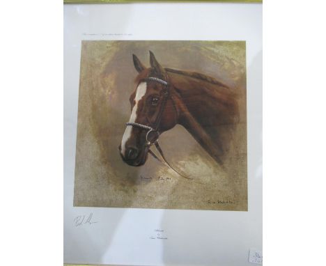 Limited edition print No 417/495 of Aldaniti by Susie Whitcombe signed by Bob Champion 