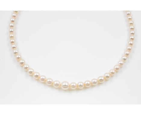 A SINGLE ROW NECKLACE OF GRADUATED CULTURED PEARLSOn a diamond three stone clasp, length 42.5cm