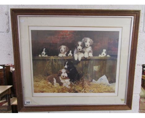 David Shephard print - Muffins pups