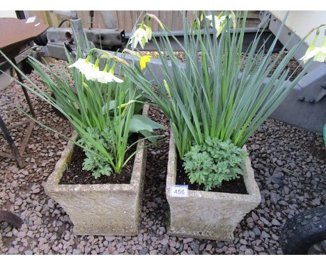 Pair of stone planter troughs with contents