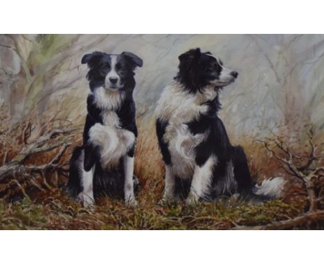After Anthony Forster (b.1941, British), coloured print, 'Father and Son', a portrait of two border collies, signed in pencil