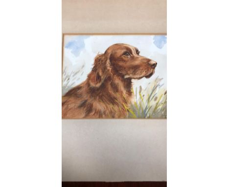 PORTRAIT OF A RED SETTER, signed indistinctly, unframed