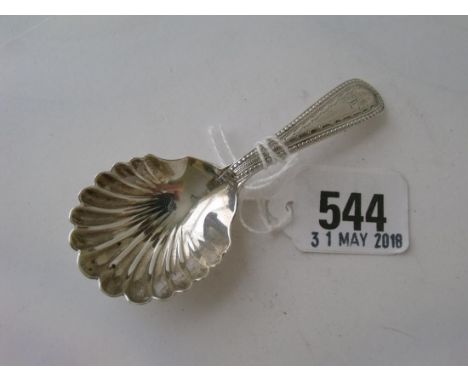 Exeter OE pattern caddy spoon with shell bowl 1875   by JW Co         
