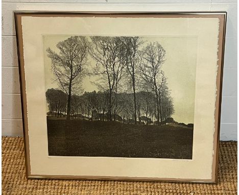 A limited edition print "Winter Light" 1978 by Phil Greenwood  95/150 (50cm x 44cm)