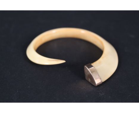 A boar tusk bangle with 9ct gold end