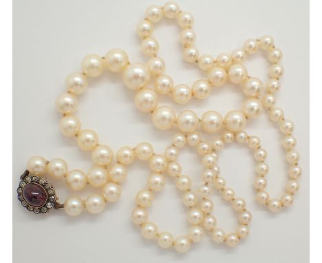 Victorian single strand of graduated pearls having a ( presumed and unmarked ) gold clasp set with a large cabochon ruby and 
