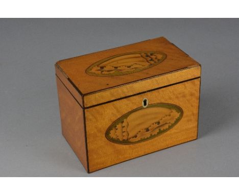 A GEORGE III SATINWOOD TEA CADDY, of rectangular form, inlaid shell paterae to lid and font, lacks internal fittings, green v