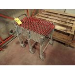 skate conveyor, expandable, 18" x 80"