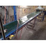 Phoenix power inclined belt conveyor, approx. 24" x 19' on casters (Subject to confirmation. The