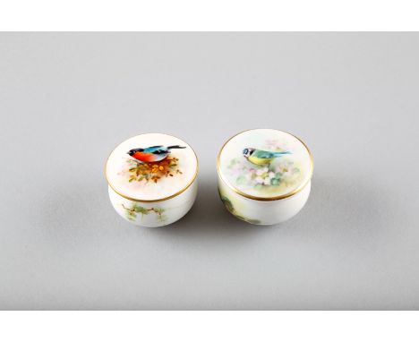 Pair Royal Worcester miniature pill pots and covers, decorated with hand painted Blue Tit and Bullfinch, circ. 1920s 3.5cm di