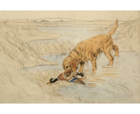 George Vernon Stokes (British 1873-1954). Framed Limited Edition coloured dry print, signed, 56/75, ‘Golden Retriever with a 