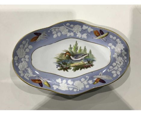 A Spode ornithological painted dessert dish, oval form, circa 1818, decorated with a female Goosander within a pale blue bord