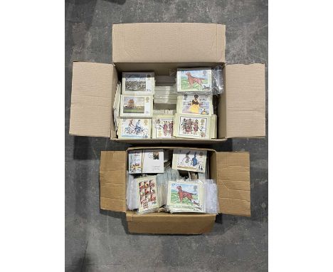 A collection of postcards, stamps, and first day covers, to include: Irish Setter, Cycling 1878-1978, European Assembly Elect