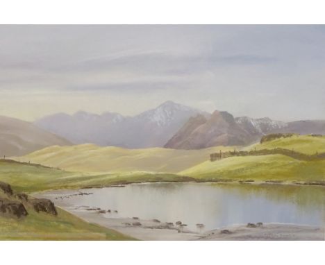 Peter Shutt (British 1926-): 'The Langdales and Bow Fell from Alcock Tarn', pastel signed 24cm x 35cm Condition Report Click 