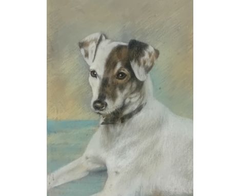 Pastel drawing ''Terrier portrait'', unsigned.[57x47cm]