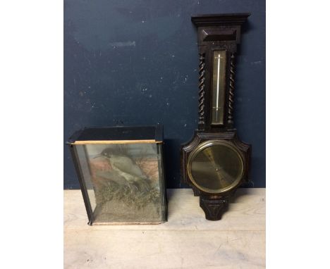 Edwardian oak barometer & Edwardian taxidermy Woodpecker, perched on a wooden stump in a glass fronted case
