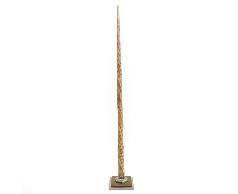 19th century or earlier on heavy brass base height 113 cm. Provided with Cites 2 declaration. This lot will not be shipped ou