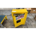 Small Flammable Liquid Storage Cabinet