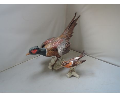Two Goebel studies, Running Pheasant CU98 (AF) and Brambling CV86