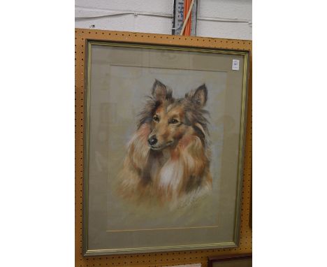 Robert Sharpe, portrait of a collie dog, pastel.