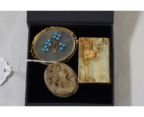 Two Victorian brooches, the first, of oval form, decorated with forget-me-not detail, set in yellow metal, the second a Cameo