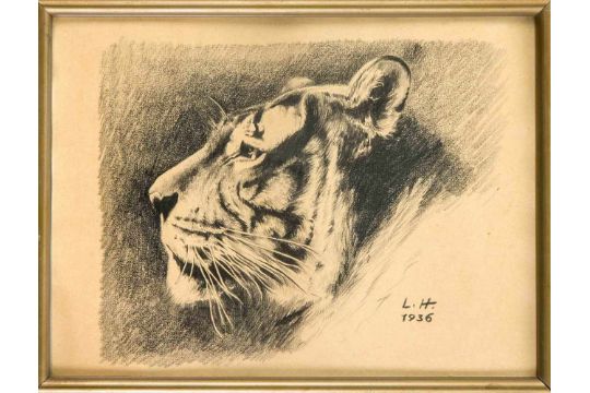 Lothar A Helmke 1903 1959 Pferdesportjournalist Maler Und Illustrator Aus Stettin Tigerkopf