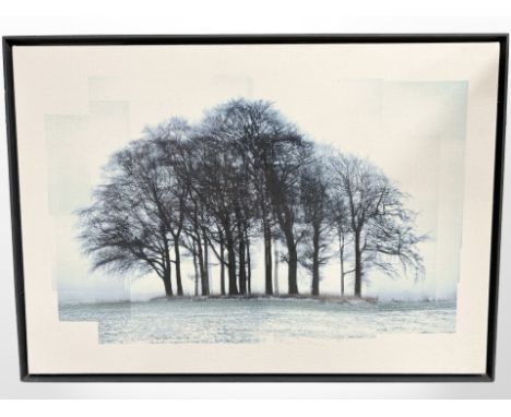 Ruth J Maxwell (Contemporary) Laurencekirk Copse, photographic print on canvas, signed verso and dated 2006, 72cm by 103cm 