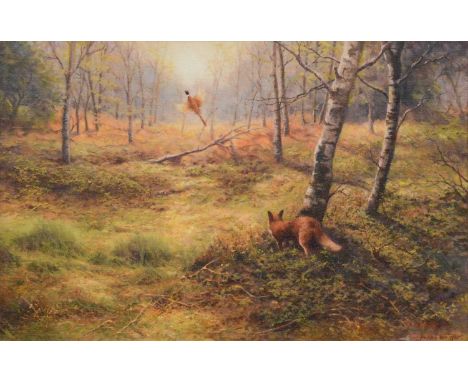 Frank Wright, Fox in a wood, signed, oil on canvas, 40 x 60cm.Condition report:There is an odd-looking white patch near the s