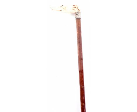 ^ Walking stick 33.5” with ivory handle carved as the head of a greyhound, inlaid glass eyes, cherry wood (?) shaft, silver f