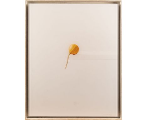 ELGER ESSER1967 StuttgartKÜRBIS (1997/98) C-Print hinter Plexiglas. 40 x 31,5 cm (R. 42,5 x 34,5 cm). Rückseitig signiert. Ve