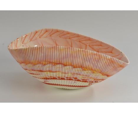 A large Yalos Casa Murano Art Fossil conch shell, moulded and folded, applied in naturalistic swirls of orange and pink on a 