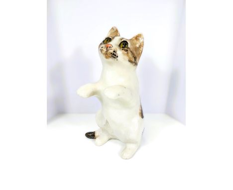 A Winstanley cat, glass eyes, in 'begging' pose, signed, size 4