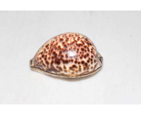 Victorian shell snuff box, 9.5cm across.