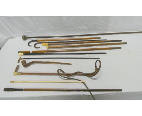 Collection of antique walking sticks, contained in an early 20th century brass divisional stick stand. Condition report: Whit