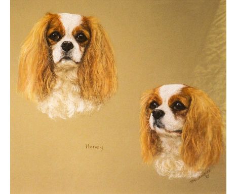Mary Browning (20th century), Portrait of a King Charles Spaniel, pastel, signed, 44cm x 48cm, framed