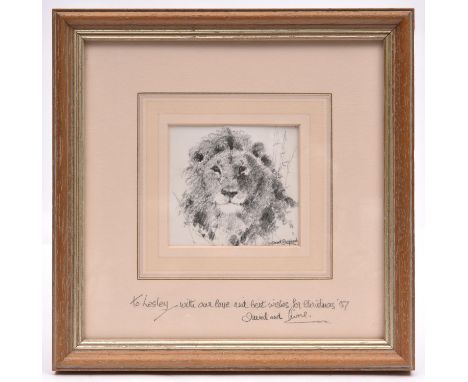 An original David Shepherd pencil sketch on paper of a lion's face directly face on. Signed in the lower right corner. Mounte