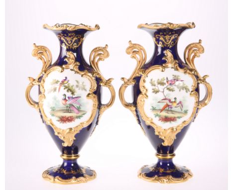 A PAIR OF CONTINENTAL PORCELAIN VASES, decorated with birds and foliate sprays, blue grounds, with elaborate gilt scroll hand