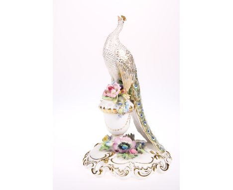 A ROYAL CROWN DERBY PORCELAIN MODEL OF A PEACOCK, painted and gilt, modelled perched upon a floral encrusted urn, to a domed 